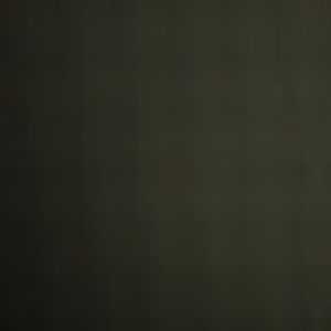 Meet your Posher, Darin